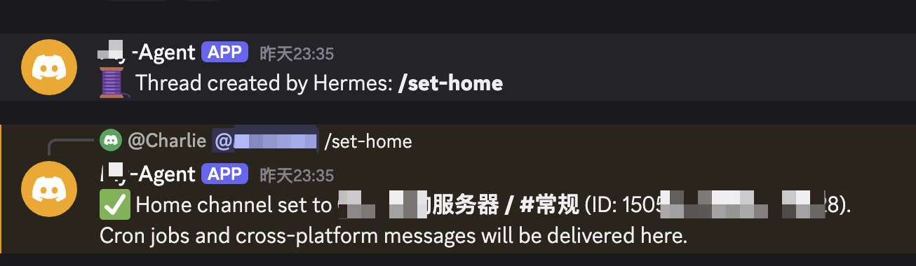 Discord /set-home命令成功回复